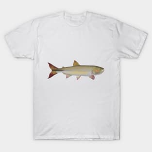 Dorado T-Shirt